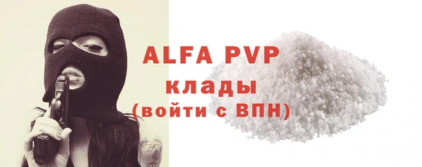 твердый Михайлов