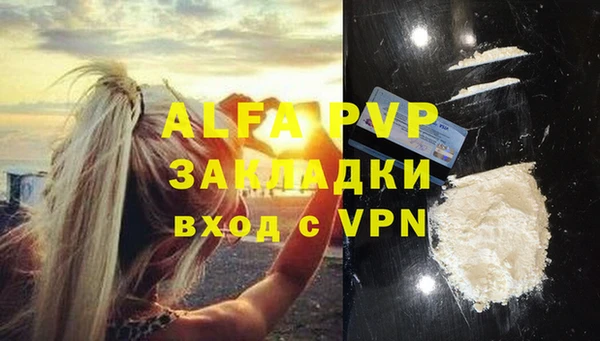 твердый Михайлов