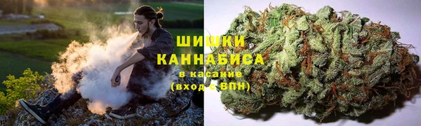 твердый Михайлов