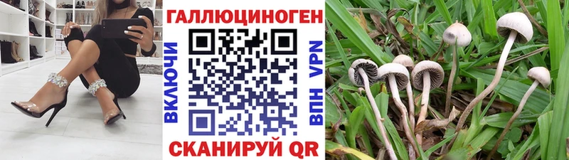 Псилоцибиновые грибы мицелий  Отрадный 